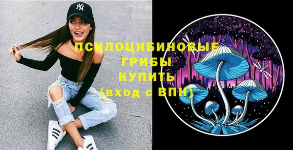 первитин Белоозёрский